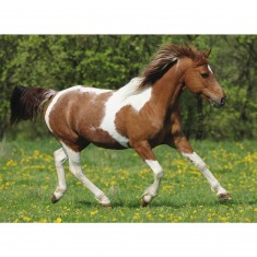 100 pieces XXL puzzle: Galloping