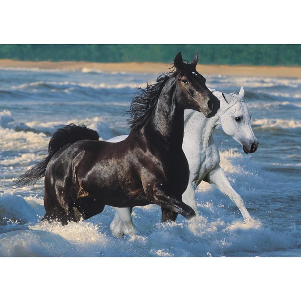 1500 pieces Jigsaw Puzzle - Horses on the beach - Ravensburger-16276