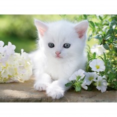 1500 pieces puzzle: white kitten