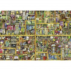 18,000 pieces puzzle: Magical Bookcase, Thompson