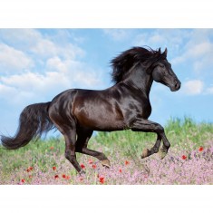 200 piece XXL puzzle: Black stallion
