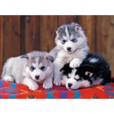 200 piece XXL puzzle: Cute huskies