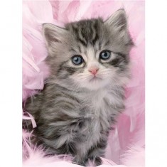 500 pieces Jigsaw Puzzle - Sweetness of a kitten