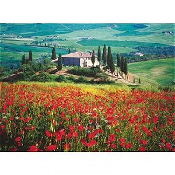 Puzzle 500 pièces - La Toscane : Val d'Orcia en Italie - Ravensburger-14567