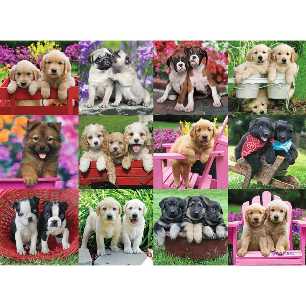 500 pieces puzzle: Puppy friends - Ravensburger-14659