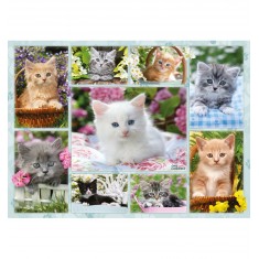 Jigsaw Puzzle - 500 pieces - Collage of kittens
