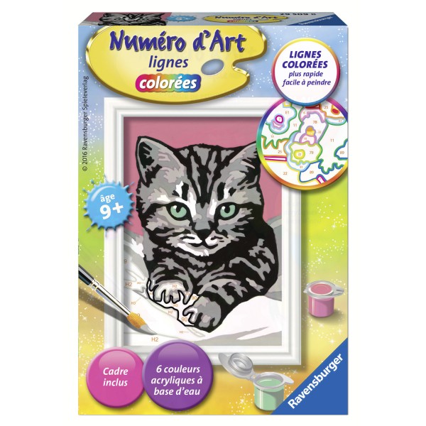 Peinture au numéro : Numéro d'Art lignes colorées : Joli chaton gris - Ravensburger-29509