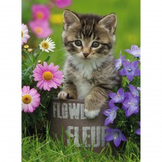 Puzzle 100 piezas XXL: Gatito en flores