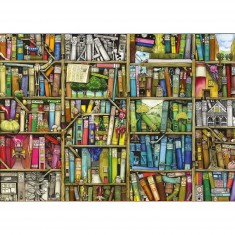 Puzzle de 1000 piezas: biblioteca mágica