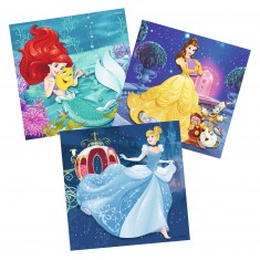 Puzzle 3 x 49 pièces : Princesses Disney : Les aventures des Disney Princesses