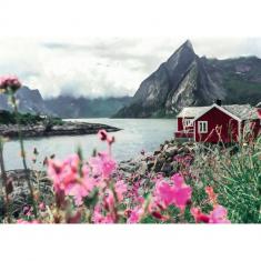 Puzzle 1000 pièces : Reine, Lofoten, Norvège 