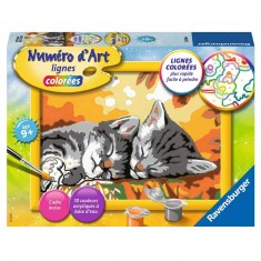 Pintura por números: Arte Pequeño Formato Número: Dos gatitos tumbados