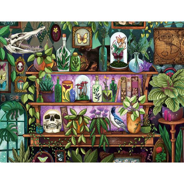 Puzzle 2000 pièces : Bibelots et objets de sorcière - Ravensburger-12001416