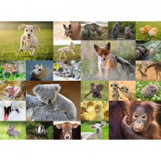 Puzzle 200 piezas XXL: Adorables animales bebés
