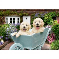 Puzzle de 200 piezas: Golden Retriever