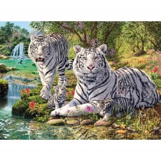 Puzzle 500 pièces : Famille de tigres blancs