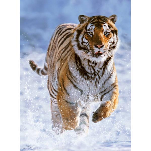 500-teiliges Puzzle: Tiger im Schnee - Ravensburger-12000148