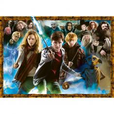 1000-teiliges Puzzle: Harry Potter und die Zauberer