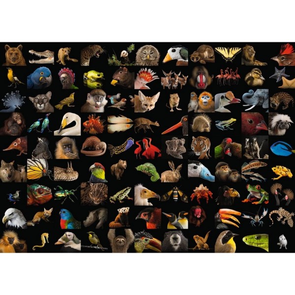 Puzzle 1000 pièces - 99 animaux époustouflants / National Geographic - Ravensburger-15983