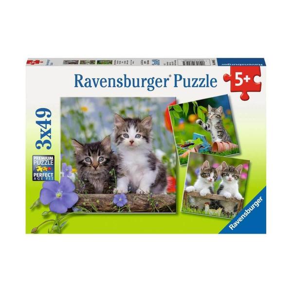 3 x 49 pieces puzzle: tabby kittens - Ravensburger-80465