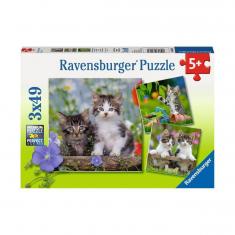 Puzzle de 3 x 49 piezas: gatitos atigrados