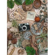 Puzzle 500 pièces : Nature morte vintage 