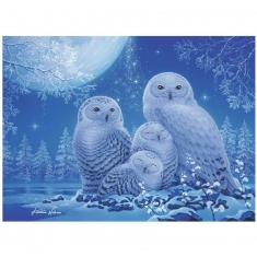 500 Piece Jigsaw Puzzle: Star Line: Owls in the Moonlight