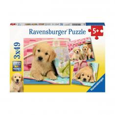 3 x 49 pieces puzzle: cute little puppies