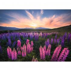 Puzzle 500 pièces :  Les lupins (Nature edition)