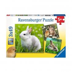 3 x 49 pieces puzzle: cute little rabbits