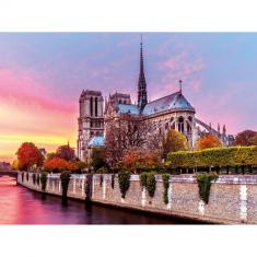 1500-teiliges Puzzle: Malerische Notre-Dame