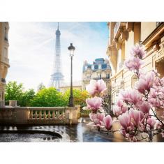 Puzzle 500 pièces : Le printemps à Paris