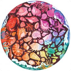 Puzzle redondo de 500 piezas: Conchas (Círculo de Colores)