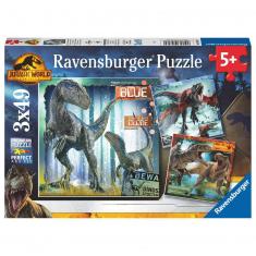 Puzzles 3 x 49 pièces :  Jurassic World 3 : T-rex et autres dinosaures