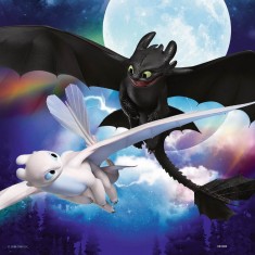 3x49 Teile Puzzles: Drachen 3: Die verborgene Welt: Drachen zähmen