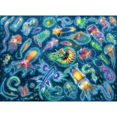 Puzzle 500 piezas: Especies submarinas de colores
