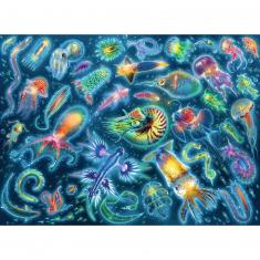 Puzzle de 500 piezas - Especies submarinas