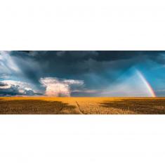 puzzle de 1000 piezas - Rainbow my