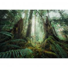 1000 piece jigsaw puzzle - In the forest (Nat