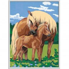 Numéro d'art Peinture au numéro : Grand Format : Fiers chevaux