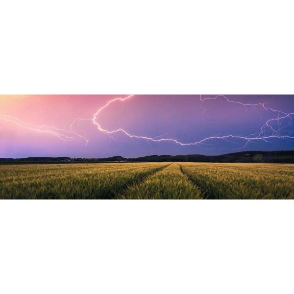 500 piece puzzle - Panorma Nature edition: Summer storm - Ravensburger-12000685