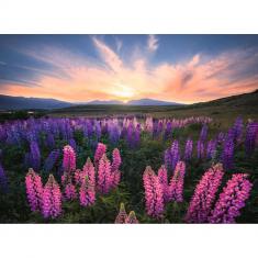 500 piece puzzle - Nature edition: Lupins