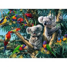 Puzzle 500 pièces - Koalas dans l'arbre
