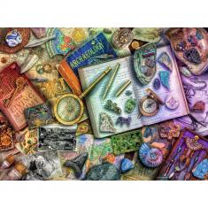 500 piece puzzle - The archaeologist's office