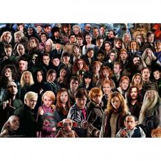 Puzzle de 1000 piezas: Harry Potter