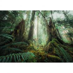 1000 piece puzzle - Nature edition: In the forest