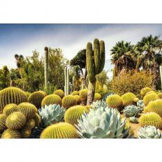 1000 piece puzzle - The Huntington Desert Garden, California, USA