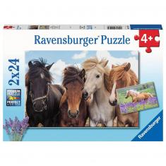Puzzles 2 x 24 pieces: The love of horses