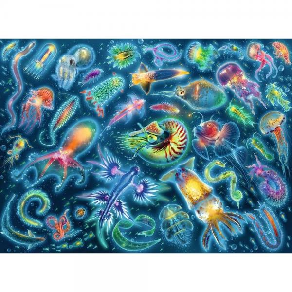 500 piece puzzle - Underwater species - Ravensburger-12000362