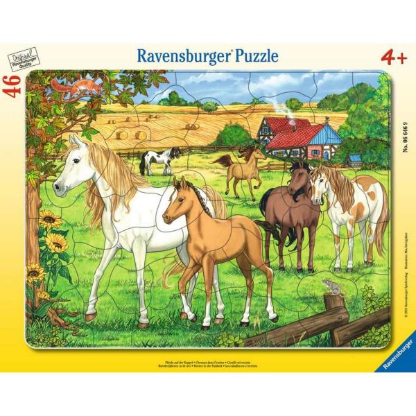 46 Teile Rahmenpuzzle: Pferde im Fahrerlager - Ravensburger-066469